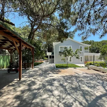 Very Special 6 Bdr Great For Family Reunions *
